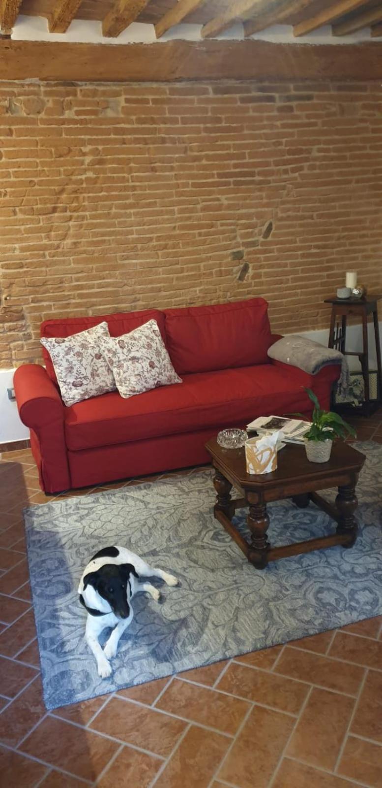 Appartamenti La Rocca Palaia Ngoại thất bức ảnh